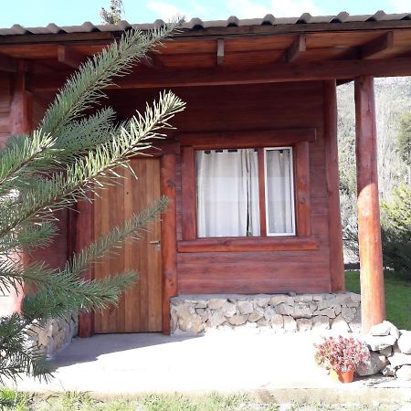 El Jarillal Chalet De Montana A Pasos Del Lago Lago Puelo Eksteriør bilde