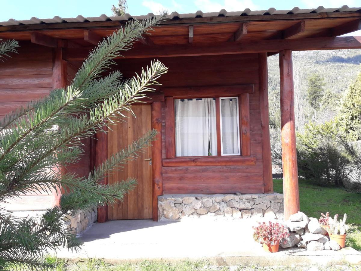 El Jarillal Chalet De Montana A Pasos Del Lago Lago Puelo Eksteriør bilde